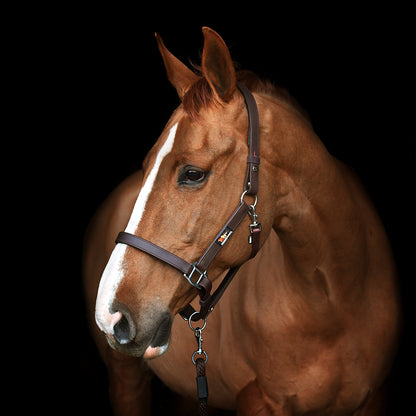 Equilibrium säkerhetsgrimma grimma säkerhet återanvändningsbar häst patent