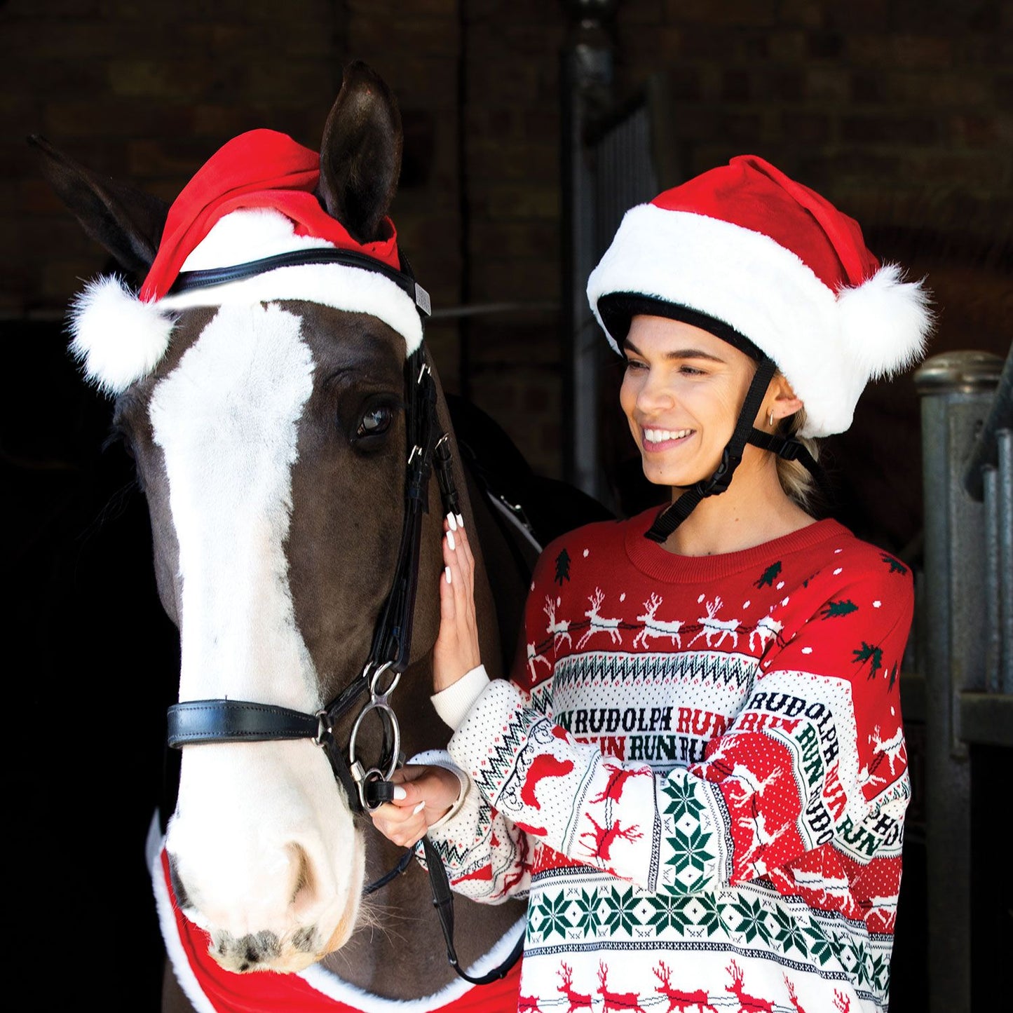Santas Horse Hat, tomteluva för häst