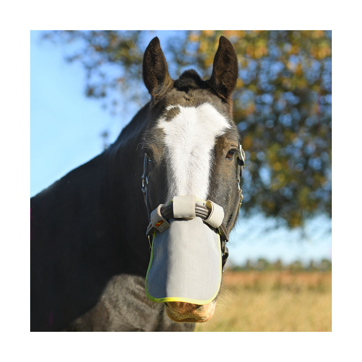 Equilibrium nosskydd UV-skydd hästar med känslig och ljus nos mjuk padding förhindra skav UV skydd